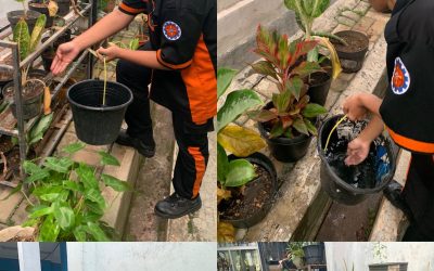 Kegiatan Rutin Siswa Setiap Pagi – Menyiram Tanaman Sekitar Ruang Kelas